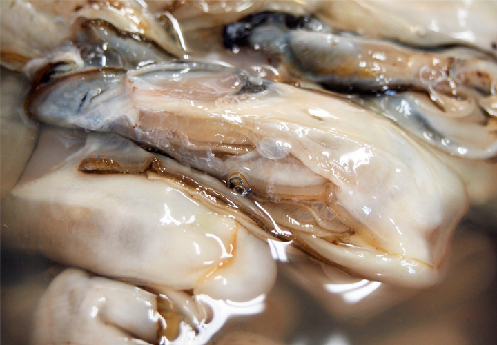 気仙沼完熟牡蠣のオイスターソース【最新カタログ番号：2501】 | ふかひれの石渡商店